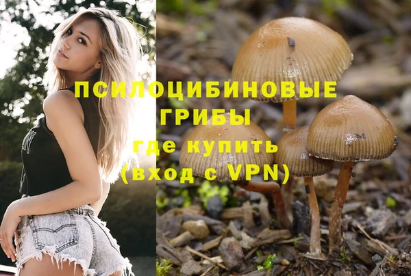гашишное масло Гусь-Хрустальный