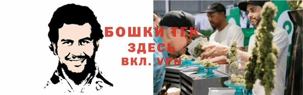 ALPHA PVP Гусев