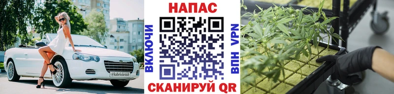 Марихуана марихуана  MEGA сайт  Ижевск  где можно купить наркотик 